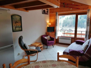Appt au centre avec 2 chambres, balcon, casier à ski et tout confort au Grand-Bornand - FR-1-241-61